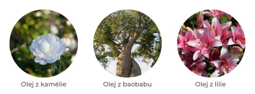 Aktivní složky – suchý olej